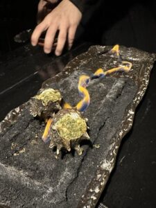 640x640_rect_ce6e34f3a2fa3bbc6112304ab3b4ec0b